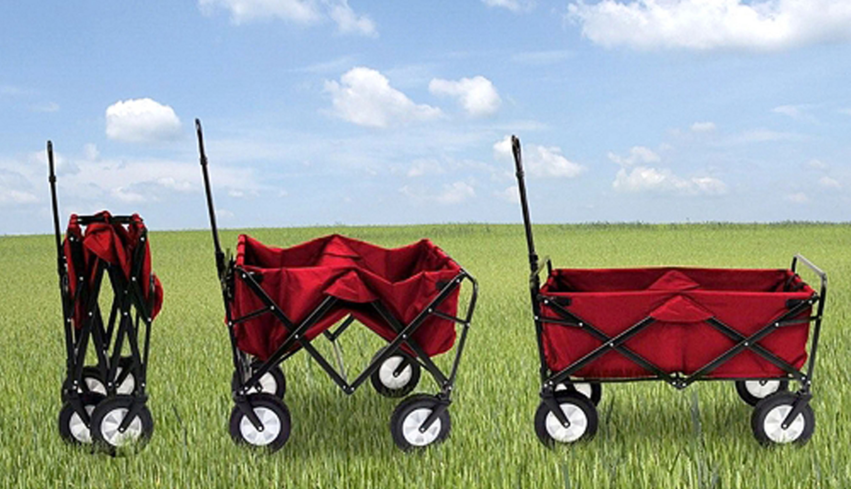 The Collapsible Costco Wagon Every Parent Needs